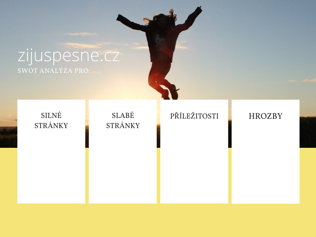 Osobní SWOT analýza