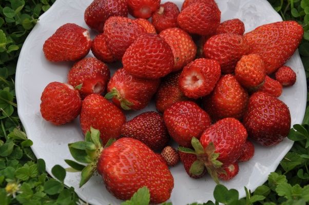 Detoxikujte se sezónním ovocem