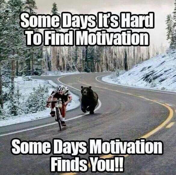 Motivace cyklista a medvěd