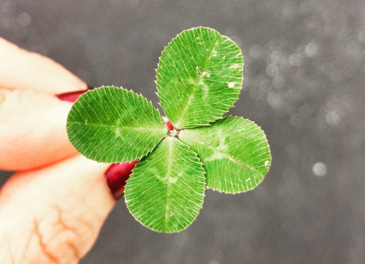 Šťastný život s pomocí zákona přitažlivosti