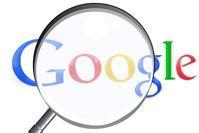Google (nejhodnotnější firmy světa)