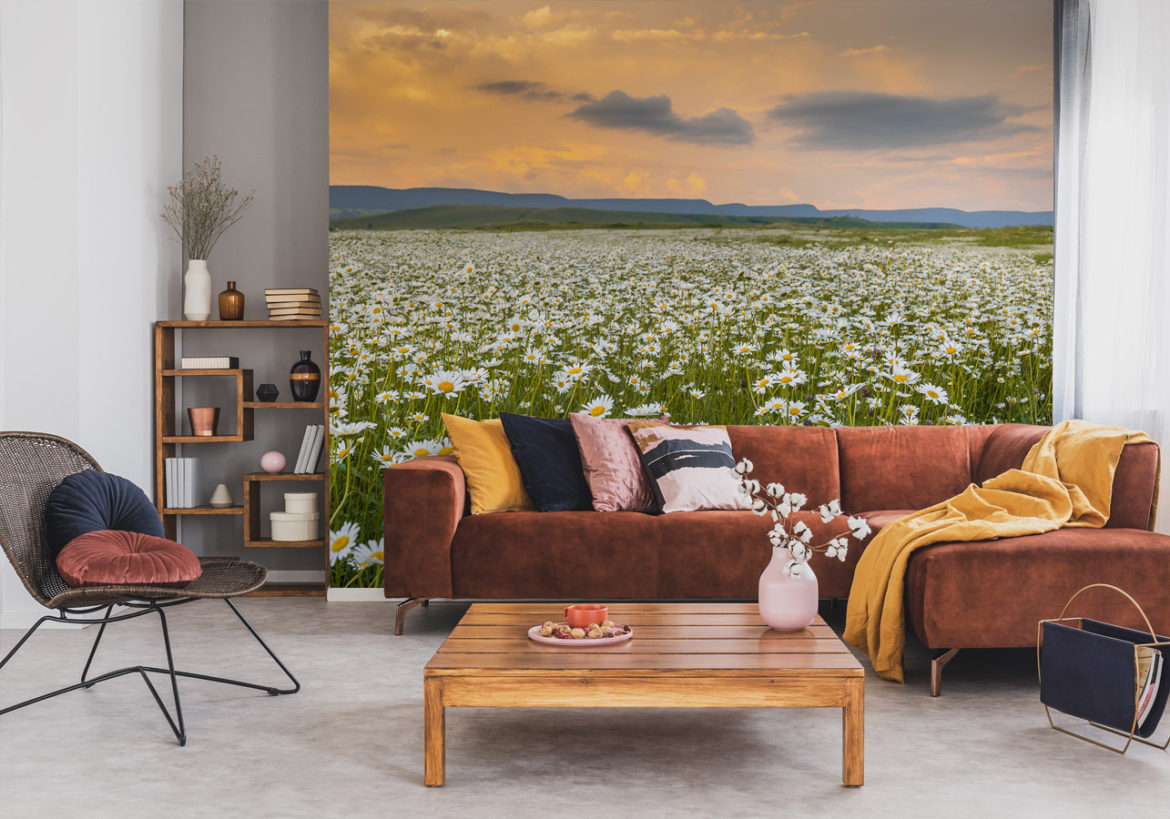 Fotografická tapeta s krajinnou loukou v obývacím pokoji