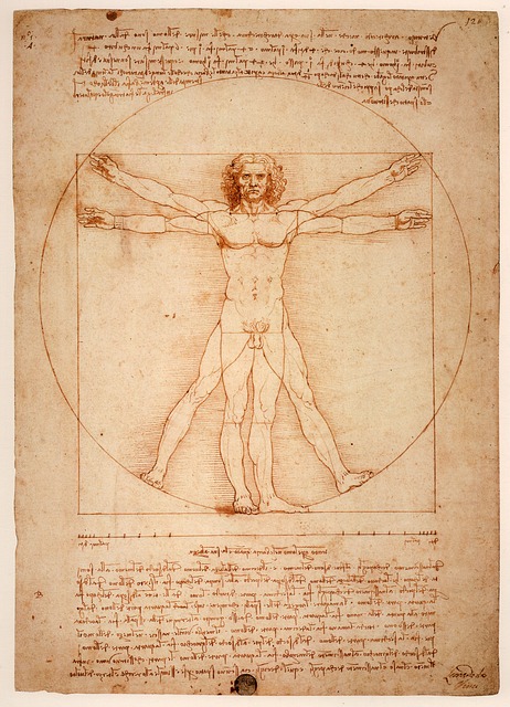 Nejznámější malíři světa: da Vinciho Vitruviánský muž
