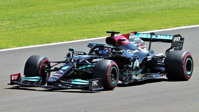 Nejznámější sportovci světa: Lewis Hamilton, pilot Formule 1