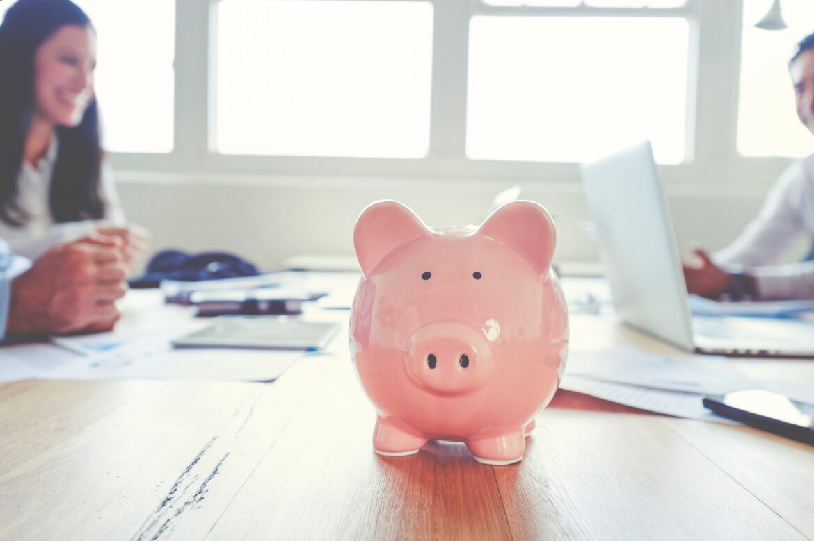 prasátko investice a vydělávání