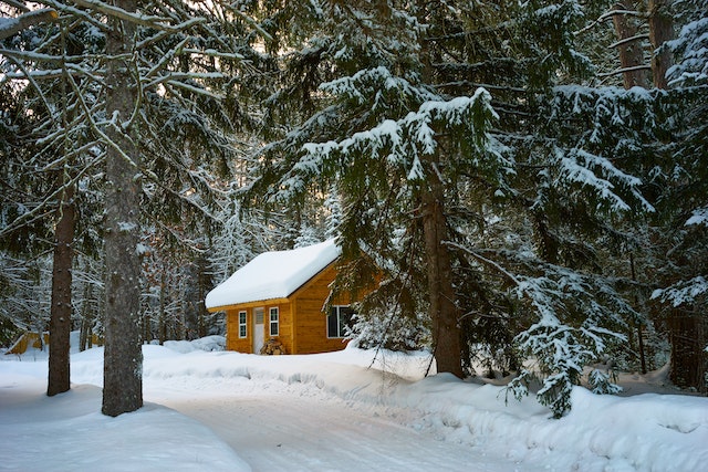 drevena chata na silvestra uprostřed zasněženého lesa