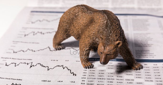 medvědí trh investice