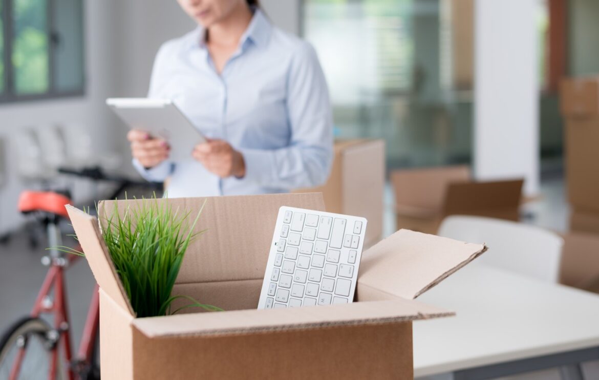 ready made společnost