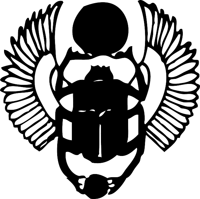 Skarabeus, oblíbený symbol.