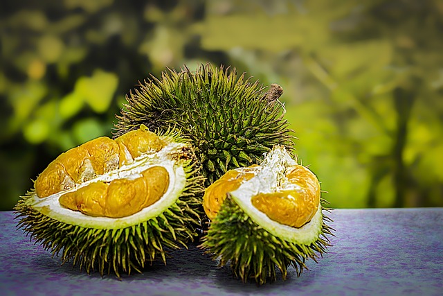 exotické ovoce durian