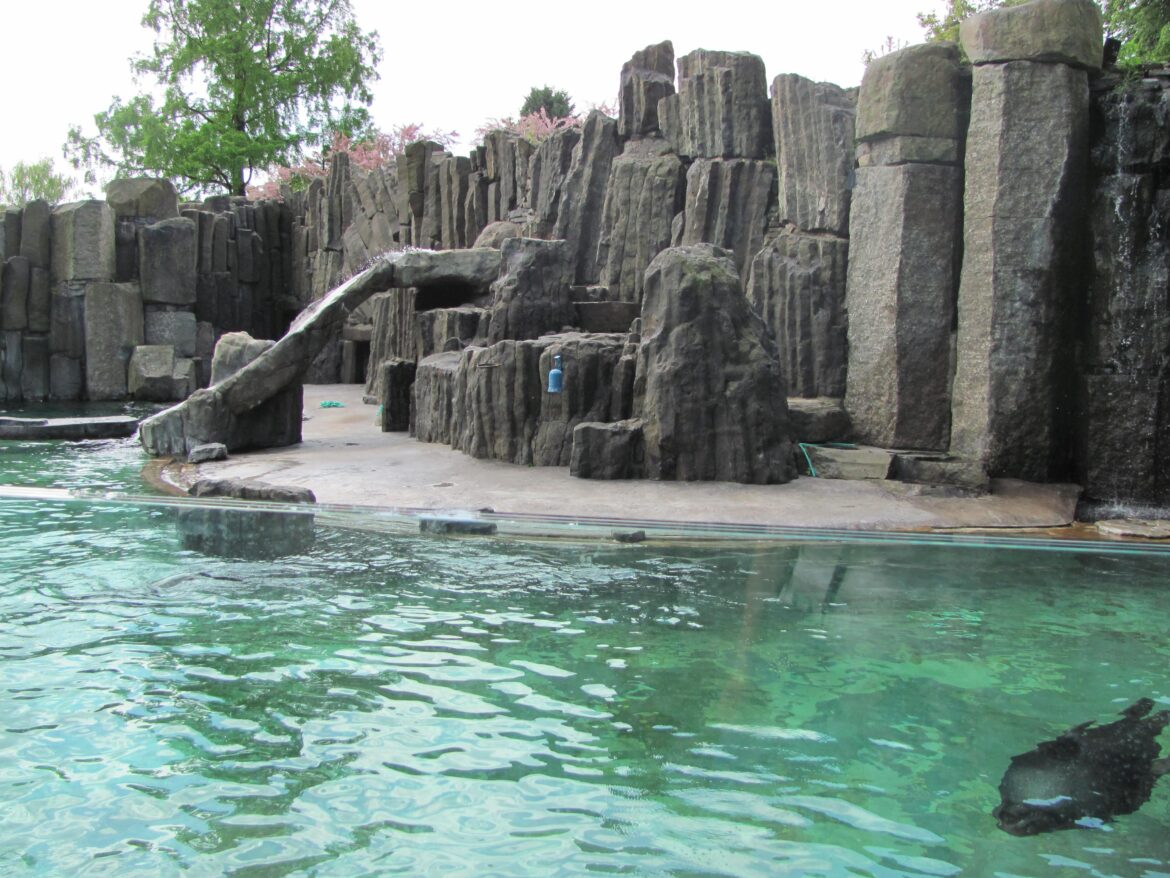 5 Tipů na nejlepší ZOO, ale i na největší a nejstarší v ČR