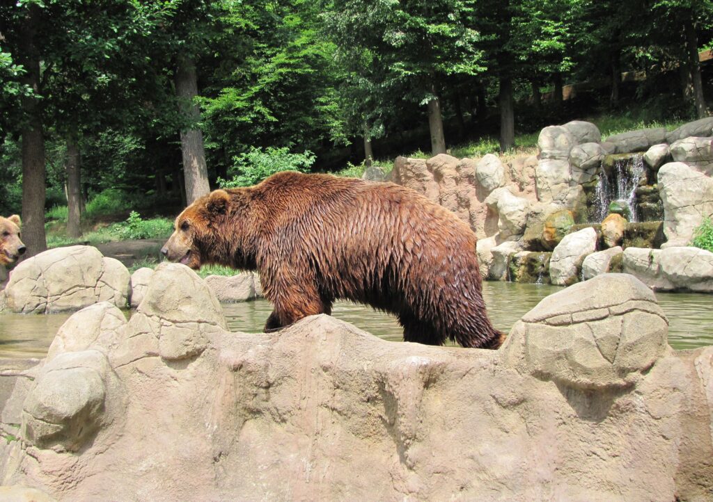 5 Tipů na nejlepší ZOO, ale i na největší a nejstarší v ČR