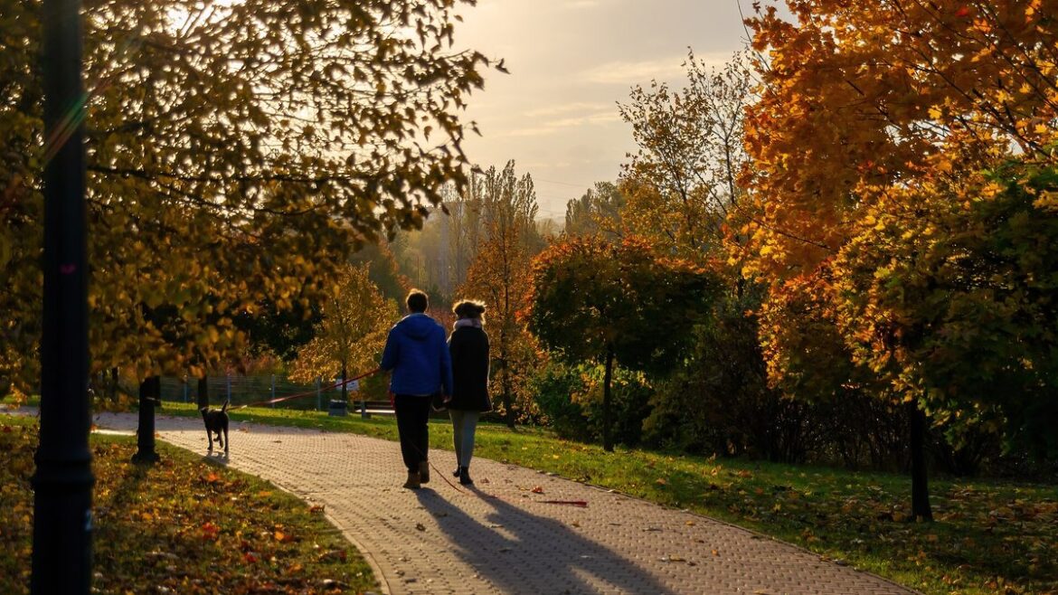 Podzimní park s lidmi a psem na procházce