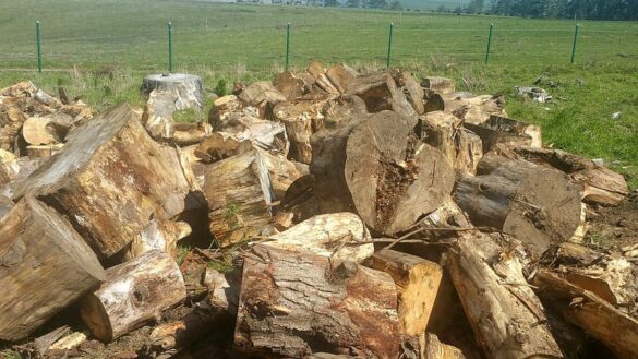 Hromada štípaného palivového dřeva na louce